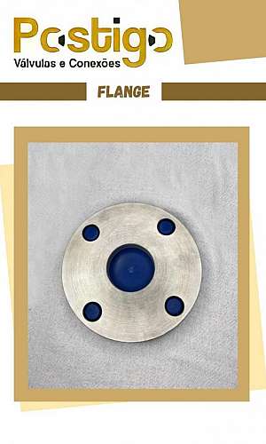 conexões anilhadas inox conexões anilhadas inox