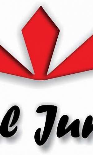 juntas metálicas juntas metálicas